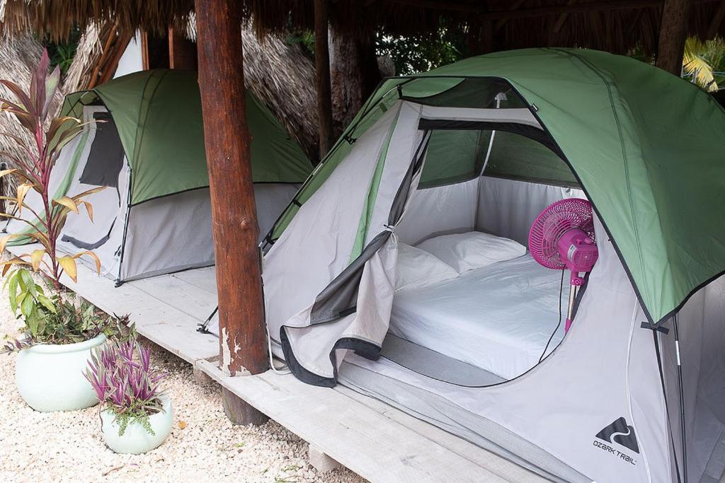 Mapache Hostel & Camping Isla Holbox Exterior photo