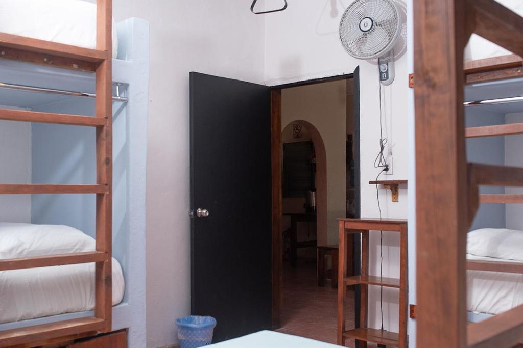 Mapache Hostel & Camping Isla Holbox Exterior photo