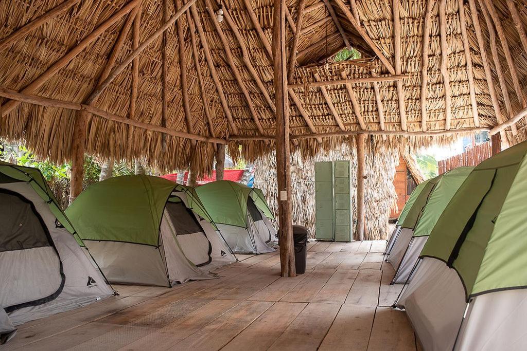 Mapache Hostel & Camping Isla Holbox Exterior photo