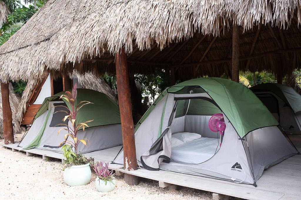 Mapache Hostel & Camping Isla Holbox Exterior photo