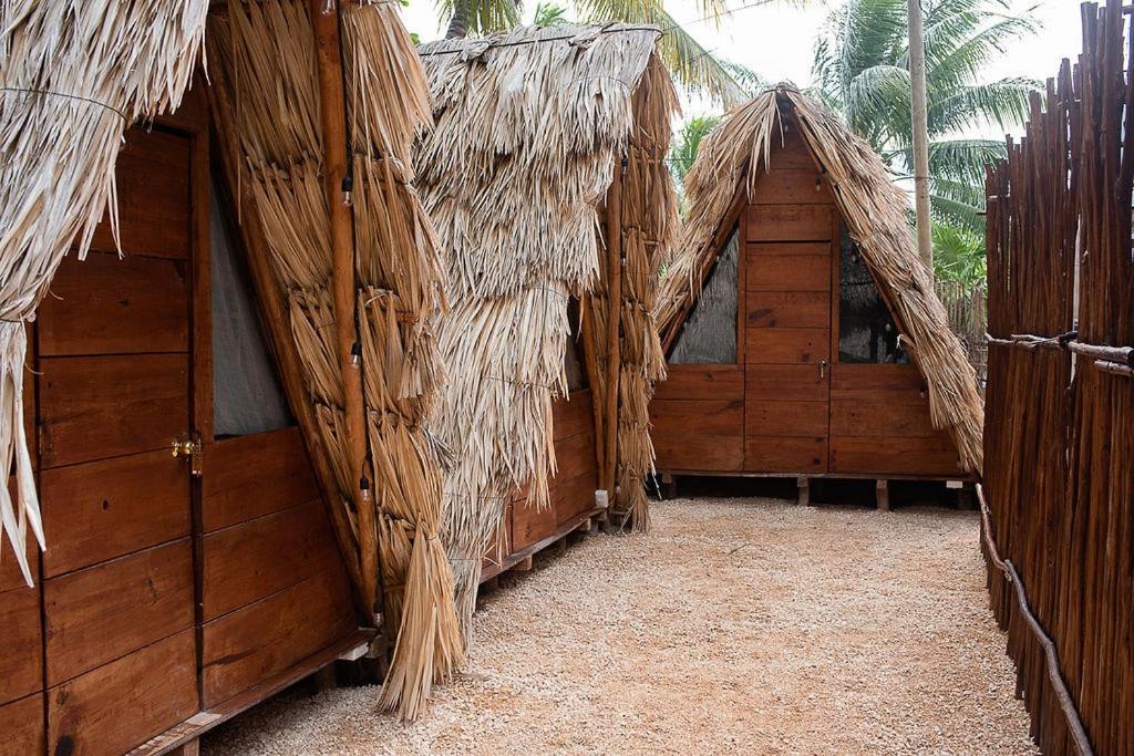 Mapache Hostel & Camping Isla Holbox Exterior photo